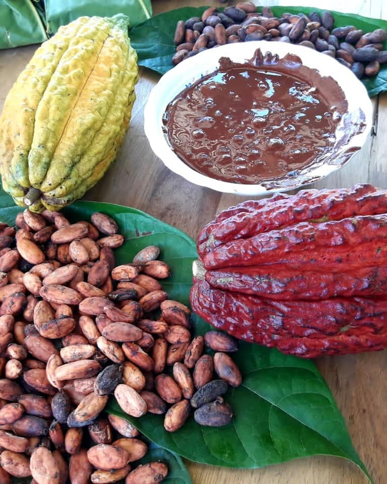 Tour de Chocolate
